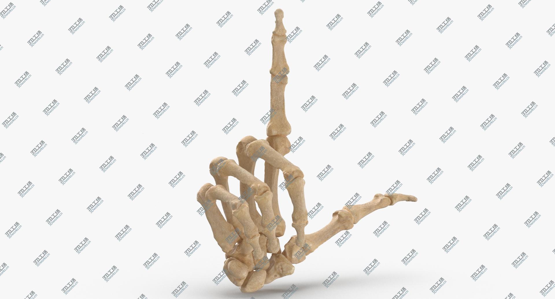 images/goods_img/2021040234/3D Real Human Hand Bones Loser Sign/3.jpg